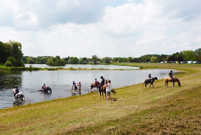 MALLING - recherche un investisseur pour une gestion complète du camping